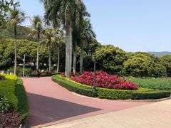 -玫瑰小镇