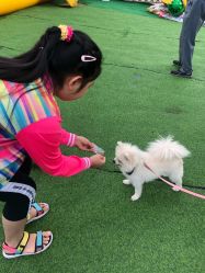 -萌宠亲子动物乐园(槐房万达店)