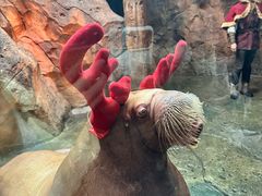 -波塞冬旅游度假区