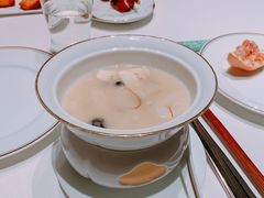 花胶黄鱼羹-新荣记(建国门外大街店)