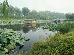 -白洋淀景区