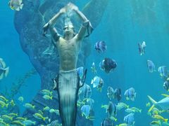 -哈尔滨波塞冬海底世界