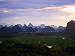 -椿记烧鹅(叠彩店)