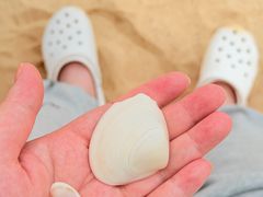 -白城沙滩