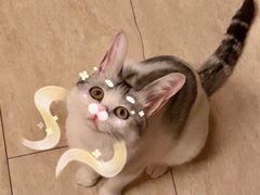 -环球汇·天誉