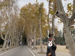 -东湖磨山景区