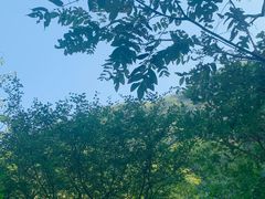-仙居谷风景区