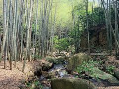 -莫干山风景区