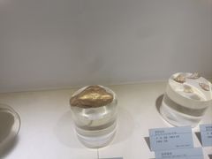 -河南自然博物馆