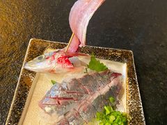 竹荚鱼刺身-桂马·日本料理·海胆·海鲜饭·酒场(民主广场店)