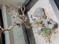 -京坛汇·烤鸭·京菜(宋庄店)