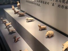 -荆州博物馆