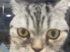 -宠颐生宠物医院外科·内科·皮肤科·影像科(石龙店)