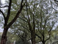 -上海大学(嘉定校区)