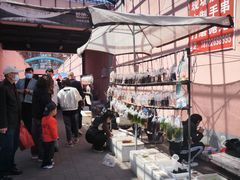 -中环花鸟鱼虫市场