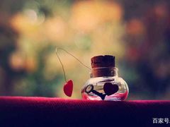 -7天酒店(上海江宁路地铁站玉佛寺店)