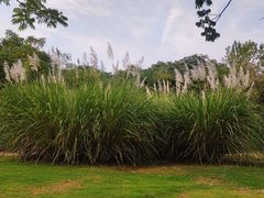 -盘龙城遗址博物院
