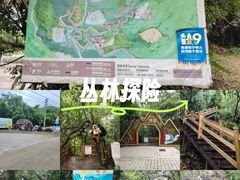 -霸王岭国家森林公园