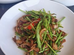 野山椒芫爆肚丝-湖里春风·淮扬菜(丽泽天街店)