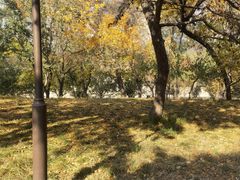 -元大都城垣遗址公园