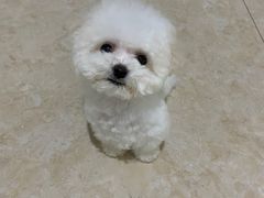 -1861意大利餐厅(文化广场店)