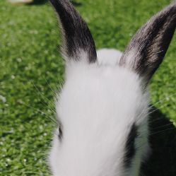 -萌宠亲子动物乐园(槐房万达店)