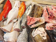 -金砂阿洲鱼册店