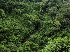 -海口火山口国家地质公园