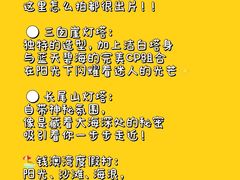 -南澳岛打卡果汁冰公司
