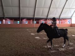 -月河湾马术俱乐部(朝阳店)