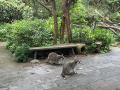 -云南野生动物园
