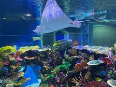 -成都浩海立方海洋公园