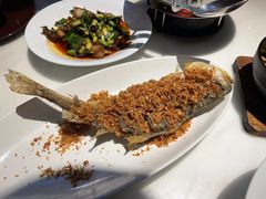 糖醋大黄鱼-柴门饭儿(成都太古里店)