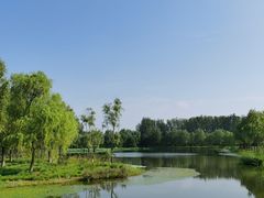 -东郊湿地公园