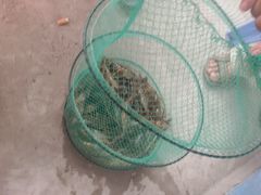 -小象钓虾·营地烧烤(洛溪店)