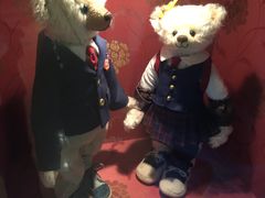 -济州岛泰迪熊博物馆