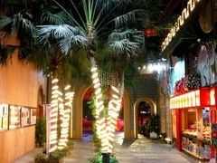 -鹅城
