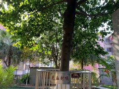 -广州神农草堂中医药博物馆