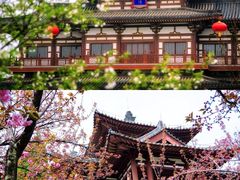 -西安青龙寺遗址景区