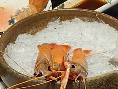 -daozao料理美术馆(东营店)