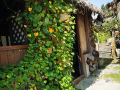 -东台西溪天仙缘景区