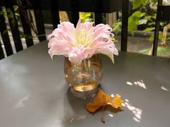 -Ginger(兴国路店)