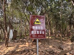 -紫金山山顶公园
