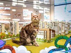 -朱辛庄(地铁站)