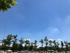 -无忧学车·大众驾校(长宁校区)