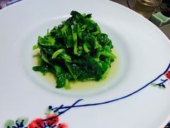 清炒豌豆尖儿-晟永興烤鸭店(五道口店)