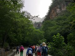 -北京上方山国家森林公园