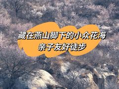 -白水寺森林公园