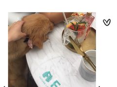 -FUTURE LOUNGE(太古里店)