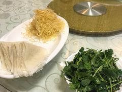 -丁老爷子苏香圆